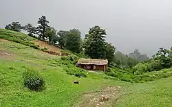 نمایی از جنگل ابر ۳