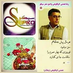 تصویر قالب شعری