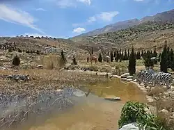 مجسمه‌های بوستان دراک