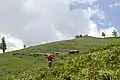 محل بقعه برزکوه در نوک قله