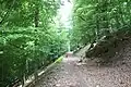 مسیر قله برزکوه