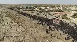 نخل در مزینان