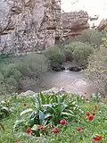 نمایی از طبیعت داخل دره هونه