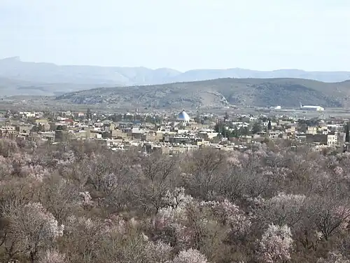 باغات ارسنجان