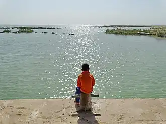 هامون پوزک خرداد ۹۳