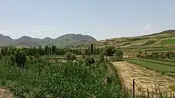 متن زیرنویس در اینجا