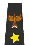 بێچوارچێوە