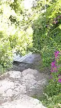نمای بالا از کوه چشمه بلقیس