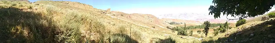 یُخاری باغ