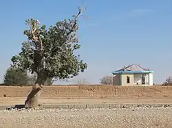 کاخ ناصرالدین میرزا