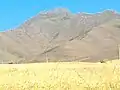 کوه پنجه