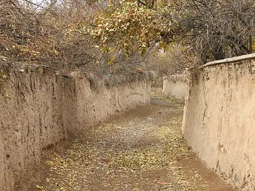 کوچه باغات ارسنجان در زمستان