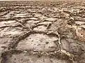 کویر زواره