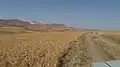 گندمزارهای روستای قرمزاباد