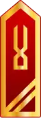 سردوشی دانشجوی سال سوم