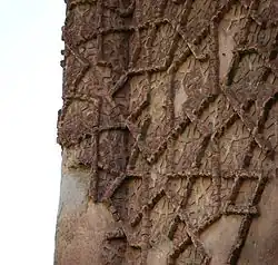 جزئیات نمای گنبد کبود