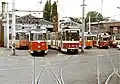 ۱۹۹۱