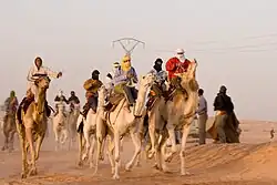 یک مسابقهٔ شترسواری محلی