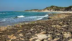 The State Natural Preserve of Torre Guaceto.