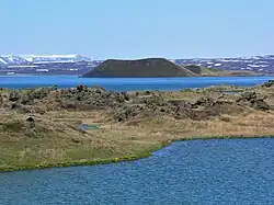 Mývatn lake, surrounded by lush vegetation