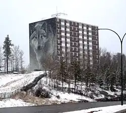Highland Tower, chosen for the Spirit Way wolf mural, is the most prominent building on Thompson's skyline