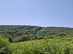طبیعت اسکولک