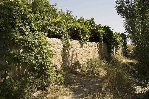 کوچه‌باغ‌های سرخه