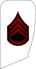 ناواستوار دومSenior Chief Petty Officer