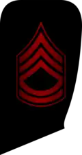 ناواستوار یکمMaster Chief Petty Officer