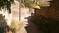 آرموت