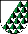 نشان Schattwald
