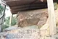 احکام شماره ۱۳ و شماره ۱۴