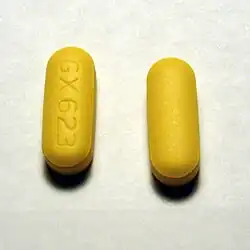  دو قرص مستطیل شکل که روی یکی از آن‌ها می‌توان آرم GX623 را مشاهده کرد