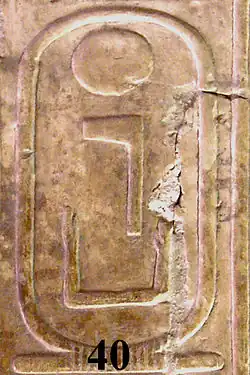 کارتوش نچرکارع