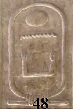 کارتوش نیکارع
