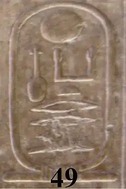 کارتوش نفرکارع تررو