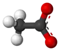 Ball-and-stick model of the acetate anion