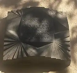 پلاک هاسمیک