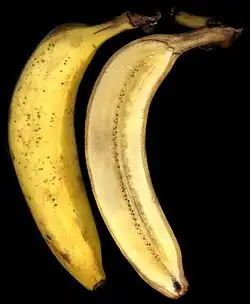 برش طولی میوه موز