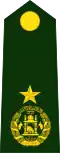 Brigadier General