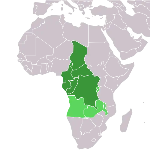 مرکز آفریقا
