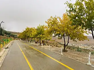 مسیرهای دوچرخه‌سواری در پارک