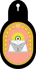 دوره مقدماتی هوایی