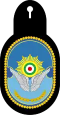دوره تخصصی هوایی