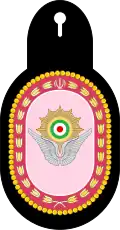 دوره سرپرستی هوایی