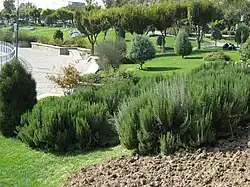 فضای سبز بوستان المهدی.