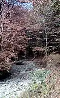 نمایی از بوستان جنگلی النگدره