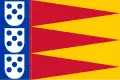 Blue vertical banner on the left with 3 vertically stacked white shields with 5 blue points each. Alternating red and yellow triangles on the rest of the flag.
