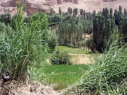 باغ‌های پیرامونی تنگه واشی