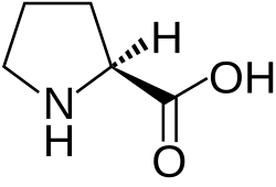 پرولین(Pro&nbsp;/&nbsp;P)